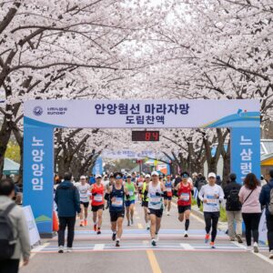 안양천 벚꽃 마라톤 출발지점과 도림천역 양평역 위치도