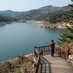 보령 물빛공원 전망데크에서 바라본 보령댐과 보령호의 풍경