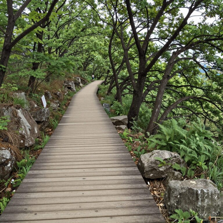 강화도 고려산 진달래 군락지와 나무 데크 산책로 풍경