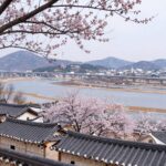 광양 매화마을 전경과 섬진강이 함께 보이는 풍경