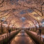 진해 벚꽃 축제 가볼만한 곳과 꽃길 산책 코스 야간 조명을 받아 환하게 빛나는 진해 여좌천의 벚꽃 터널 풍경