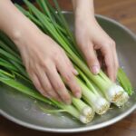 봄 제철 두릅 데치기와 손질법 완벽 정리 손질 후 깨끗이 씻어 물기를 뺀 두릅이 접시에 담겨 있다