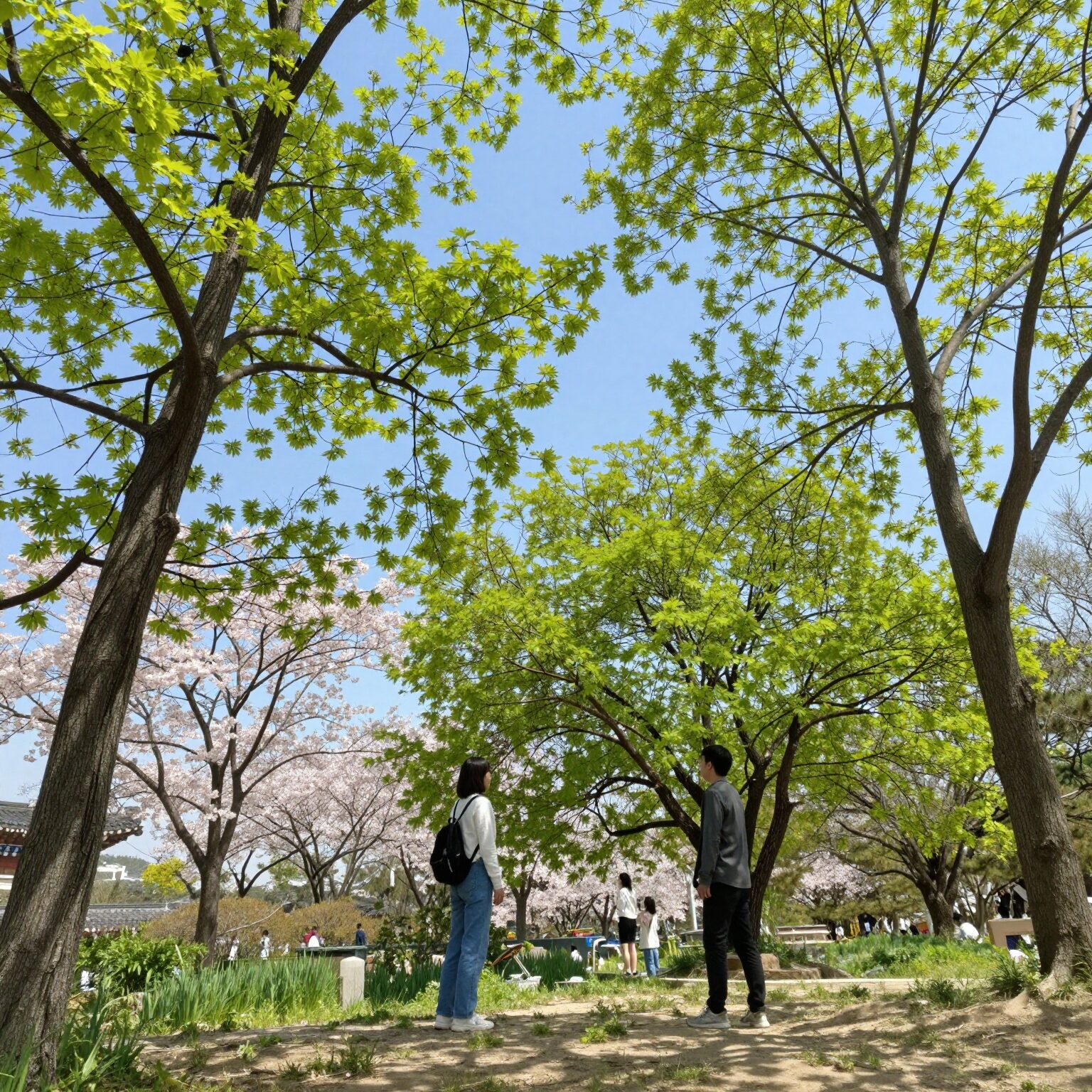 봄에 딱 맞는 감성 노래 추천과 감상법 1 푸른 하늘과 초록나무 아래에서 봄을 즐기는 모습