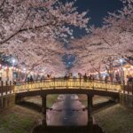 2026 진해군항제 벚꽃축제 방문 준비와 꿀팁 여좌천 로망스다리 벚꽃 터널 야경 풍경