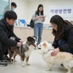 2026년 봄 반려견 광견병 무료 접종 시기와 방법 광견병 무료 접종을 받기 위해 지정 동물병원 대기실에서 대기하는 반려견과 보호자