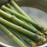 데쳐서 찬물에 헹군 엄나무순, 선명한 초록색을 띠고 있음