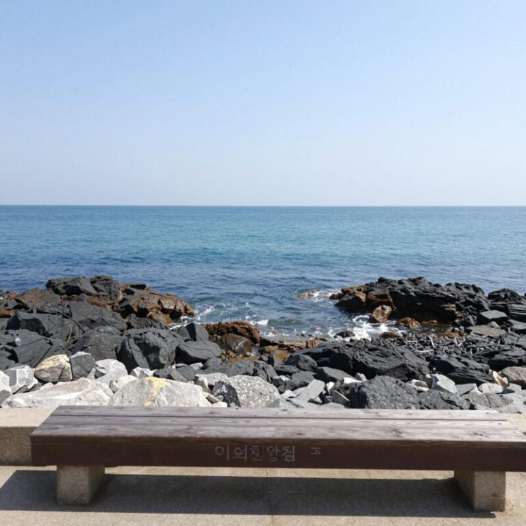 부산 기장 대변항 이화장횟집의 창가 자리에서 바라본 탁 트인 바다 전경