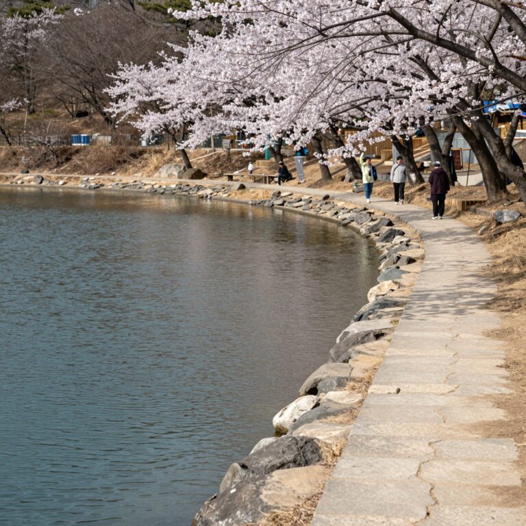봄날 골정저수지의 잔잔한 호수와 주변 산책로 풍경