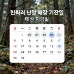 2026년 주식 배당금 확인 방법과 실전 투자 사례 현대차 분기별 배당 기준일과 예상 지급일을 보여주는 캘린더 이미지