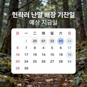 현대차 분기별 배당 기준일과 예상 지급일을 보여주는 캘린더 이미지