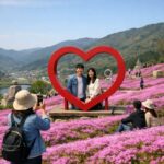 산청 생초국제조각공원 봄꽃잔디 여행 가이드 산청 생초국제조각공원 꽃잔디 언덕과 하트 포토존 풍경