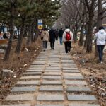 2026년 4월 전남 축제 진도 신비의 바닷길과 신안 수선화 진도 신비의 바닷길 축제에서 바다가 갈라져 생긴 길을 사람들이 걸어가고 있는 광경