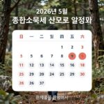 2026년 5월 종합소득세 신고 달력 일정표