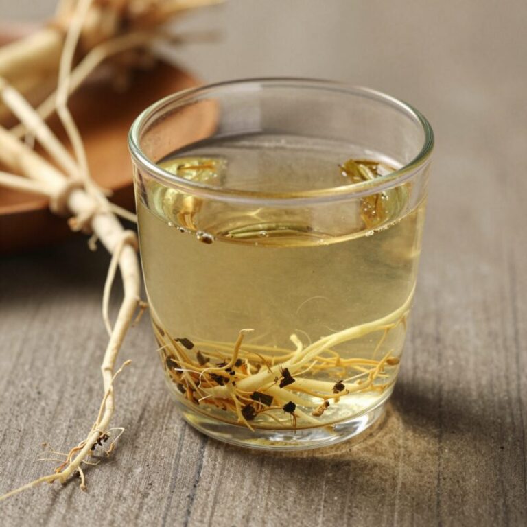 말린 흰민들레 뿌리와 우려낸 차 한 잔