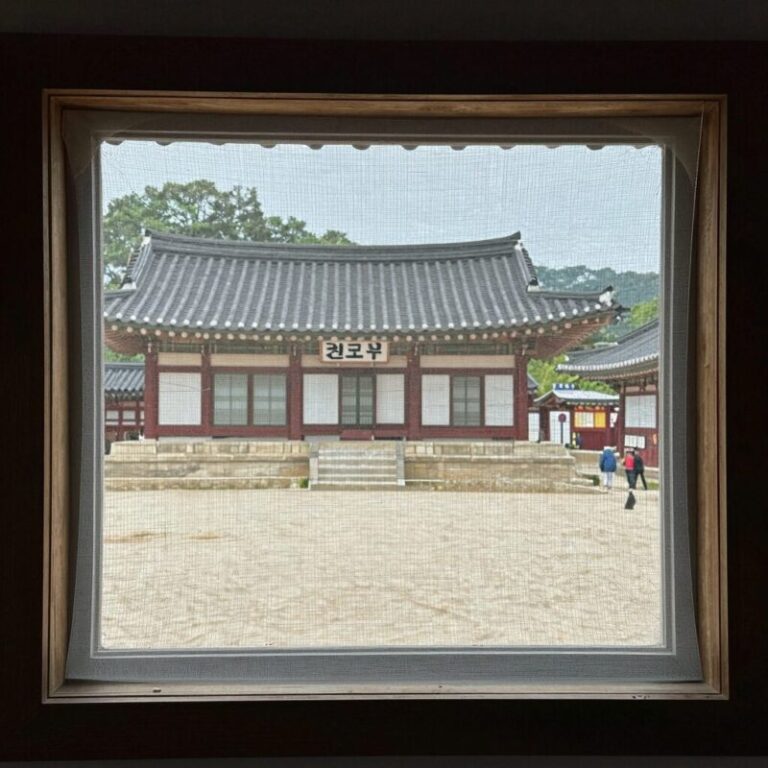 미세방충망 교체 후 창밖 풍경이 선명하게 보이는 모습