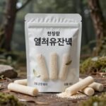 열처리유산균 분말이 담긴 스틱 패키지와 장 건강을 상징하는 배경 이미지