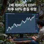 2배 레버리지 ETF 하루 60% 손실 위험 그래프