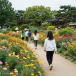 6월 서울 장미원 팝업 추천 6월 서울 용산가족공원 장미원 산책