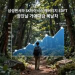 10조 폭발 삼전닉스 레버리지 삼성전자와 SK하이닉스 레버리지 ETF 첫날 거래대금 폭발 차트