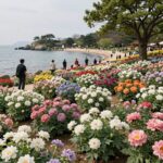 6월꽃 명소 자라섬 아일로사 가평 자라섬 꽃페스타 수국동산 풍경