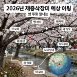 2026년 제6호 태풍 장미 경로와 대비법 2026년 제6호 태풍 장미 예상 이동 경로 및 주요 변수 설명 이미지