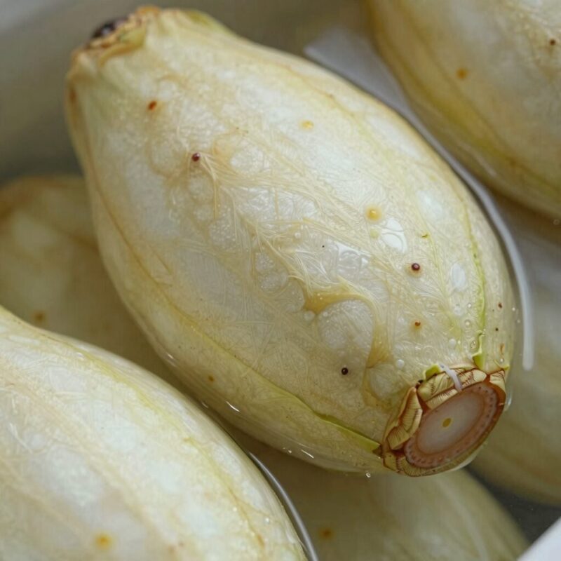 실온에서 2일간 숙성된 물없는 오이지의 모습으로 오이가 쪼글쪼글해지며 수분이 빠져나온 상태