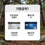 모두의카드 신청과 환급 혜택 모두의카드 일반형과 플러스형의 기준금액과 환급 구조를 비교한 표와 카드 이미지