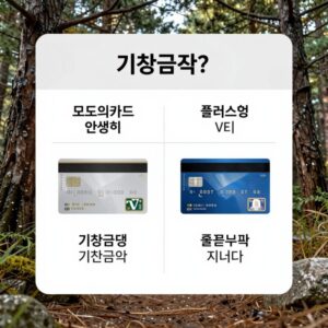 모두의카드 일반형과 플러스형의 기준금액과 환급 구조를 비교한 표와 카드 이미지