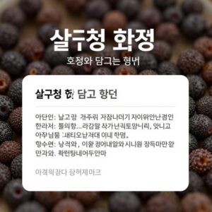 살구청 효능과 담그는 법 설명 이미지