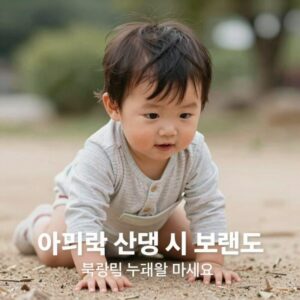 아기쪼리 선택 시 고려할 요소와 추천 브랜드