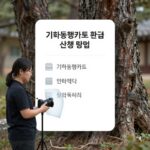 기후동행카드 환급 9만원 신청법 기후동행카드 환급 신청 방법을 설명하는 이미지