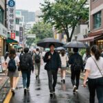 대구 장마철 빗속 동성로 거리 모습