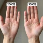다이소 쿨토시 비교 후기 다이소 쿨토시 2000원과 3000원 제품을 나란히 놓고 비교한 사진. 손등형 디자인과 일반형 차이가 보인다.