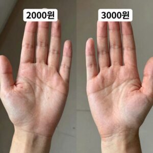 다이소 쿨토시 2000원과 3000원 제품을 나란히 놓고 비교한 사진. 손등형 디자인과 일반형 차이가 보인다.