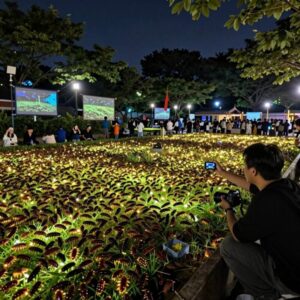 반딧불축제에서 반딧불이 반짝이는 야경