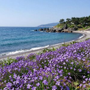 거제 저구항 수국동산에서 바라본 바다와 수국 풍경, 파란 바다와 보라색 수국이 어우러진 여름 명소