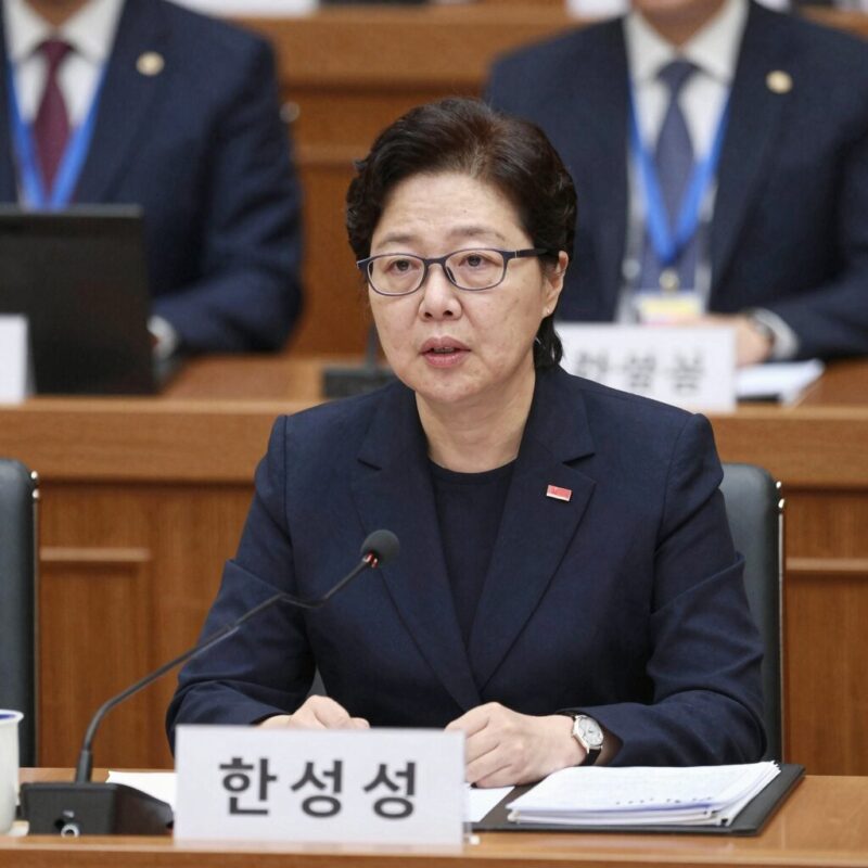 한성숙 국무총리 후보자 지명과 프로필 1 한성숙 국무총리 후보자가 발언하는 모습