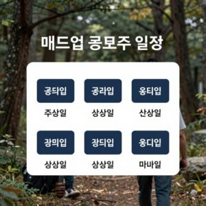 매드업 공모주 청약 일정 및 상장일 정보