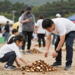 팔봉산감자축제 2026 일정 체험 가수 총정리 서산 팔봉산 감자축제에서 감자캐기 체험하는 가족 모습