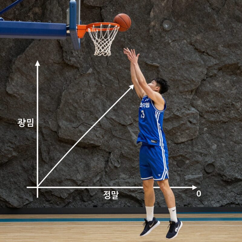 이차방정식 실생활 활용 완벽 정리 1 농구 슛 궤적을 나타내는 이차함수 포물선 그래프