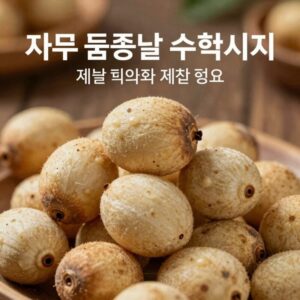 자두 품종별 수확시기와 제철 정보를 한눈에 볼 수 있는 이미지