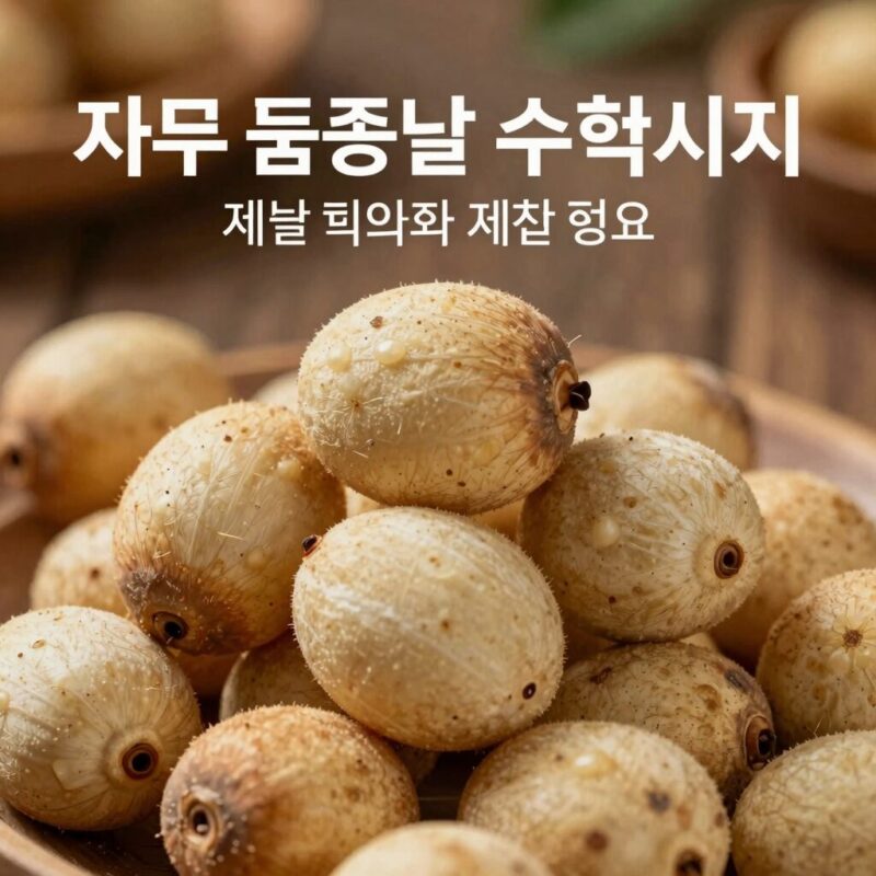 자두 제철 시기 품종별 수확 꿀팁 1 자두 품종별 수확시기와 제철 정보를 한눈에 볼 수 있는 이미지