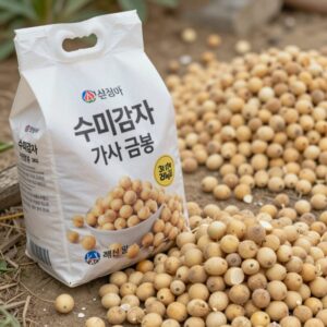 수미감자 가격 급등 상황을 보여주는 감자 사진. 온라인으로 구매한 수미감자 3kg 박스와 감자 알뿌리 모습.