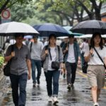 2026 장마는 언제부터 시작될까 2026년 한국 장마철 비 오는 거리 풍경과 우산을 든 사람들