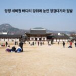 양평 세미원 배다리 강 위에 놓인 징검다리와 깃발