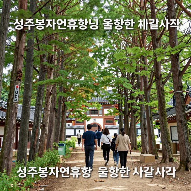 성주봉자연휴양림 울창한 숲길 사진