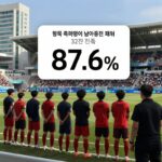 한국 축구 대표팀이 남아공전 패배 후 32강 진출 확률 87.6%를 나타내는 그래프와 함께 다른 조 경기 결과를 확인하는 장면