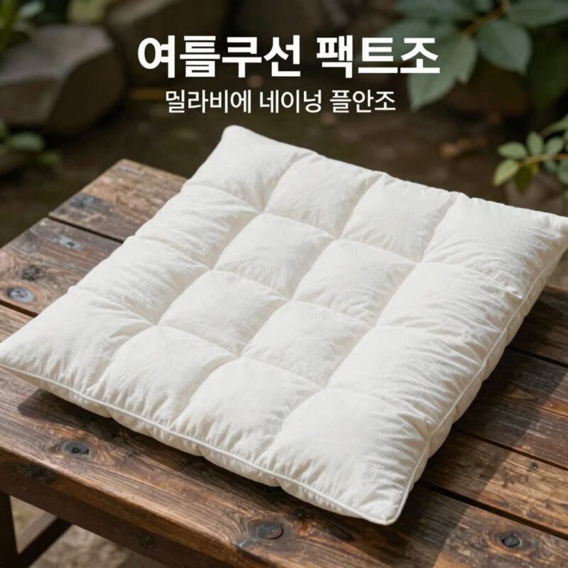 여름쿠션 팩트 추천 고민 해결 1 여름쿠션 팩트 추천 세 가지 제품 엘라비에 네이밍 폴앤조 비교 이미지