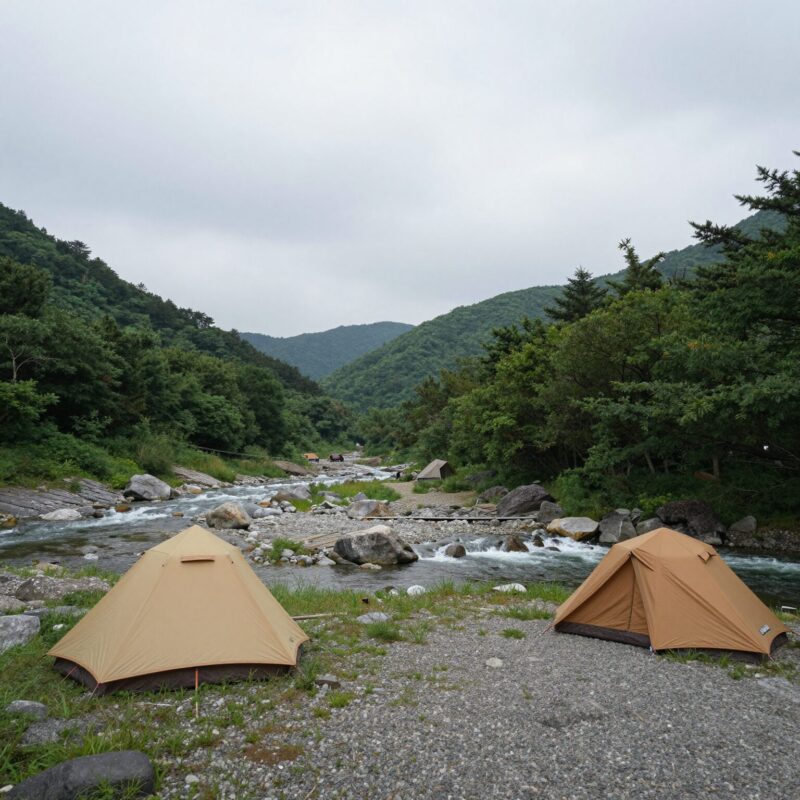 강원도 계곡 캠핑장 전경 사진
