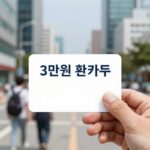 기후동행카드 3만원 환급 신청 화면